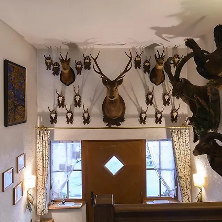 Appartement Alpasella